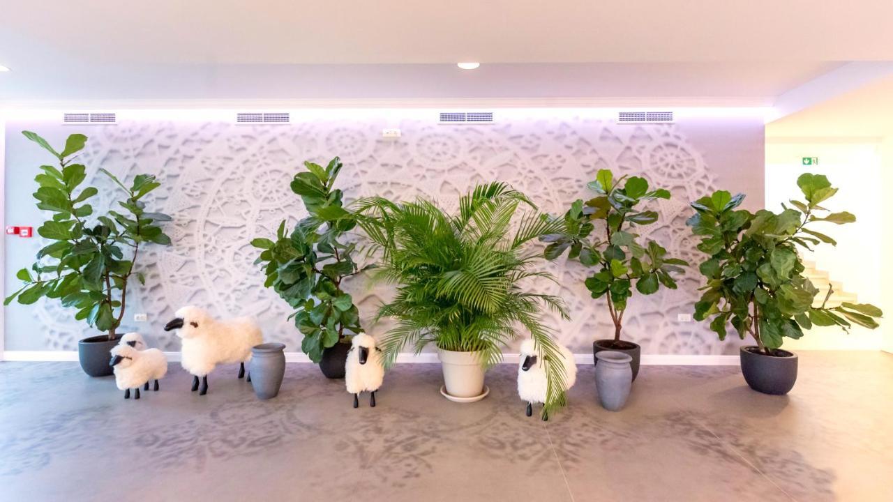 Hotel In Excelsis Novalja Εξωτερικό φωτογραφία